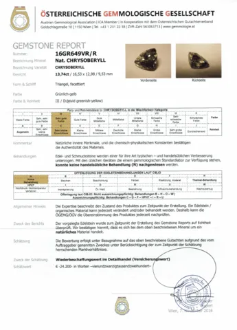 öGEM Gutachten.png