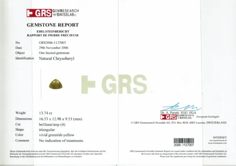 GRS Gutachten.png