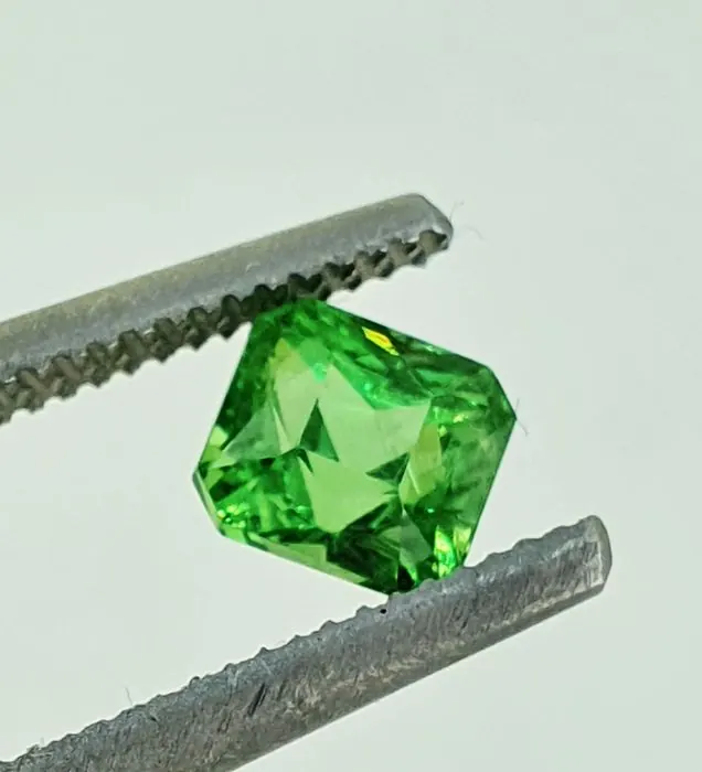 GR-TS06_Tsavorit_cushion_1,00ct_Grün_ALGT